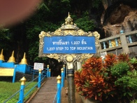 the number of stairs to get to the top to see the golden Buddha (sorry for the thumb)