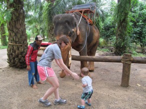 he isn't sure about this elephant